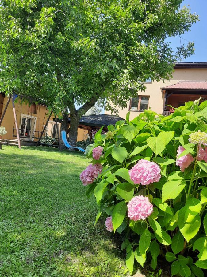 Apartament Naleczow Dom Pod Orzechami Екстериор снимка